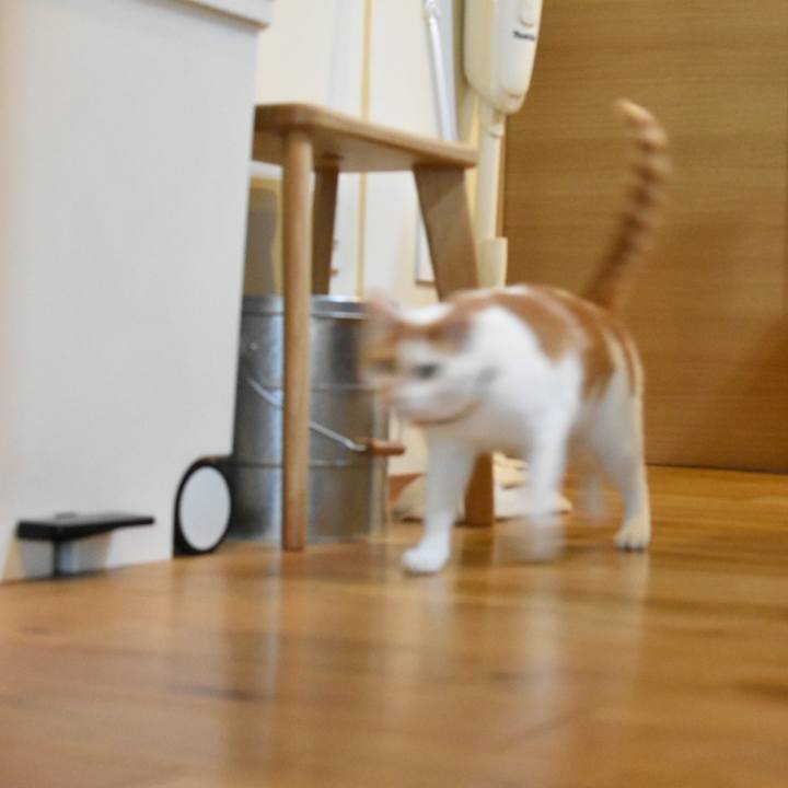 D0c5bce1 7728 40aa 95c8 07115977a850 1627103649857
