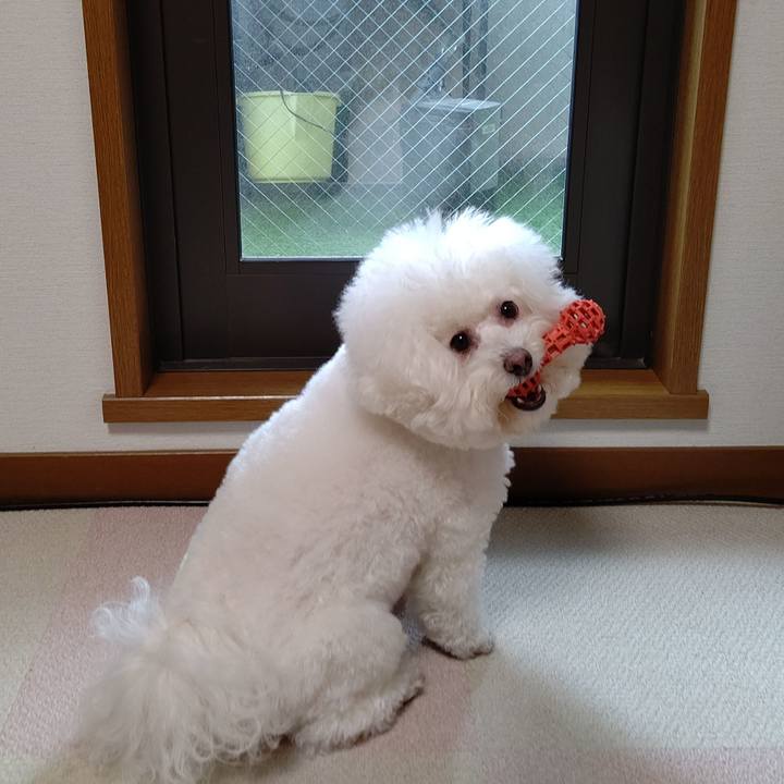 D0c5c93c 739e 4d28 8302 31e611ca5add 1669438030270