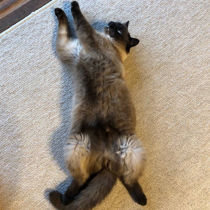 D0c5f5e3 1256 4222 a448 a8dcbb7343d5 1621220930038