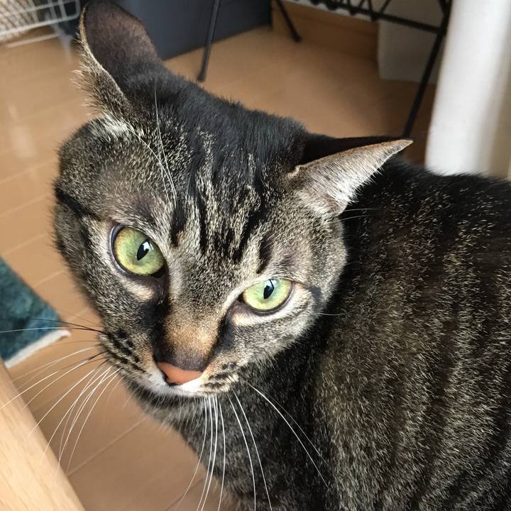 D0c62f23 6883 48a3 8125 a7810869ad23 1553154504537