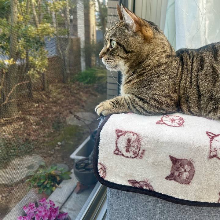 D0c64c76 72af 4944 a7b7 e8921a758a94 1768694192939