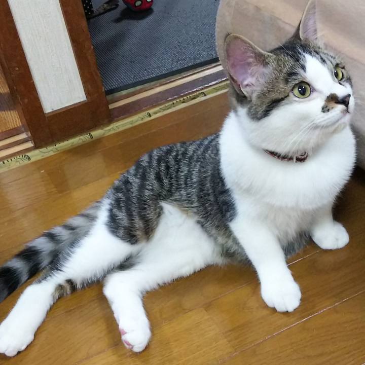 D0c674d6 7649 48f5 bc02 cbeebad1b612 1615461095389