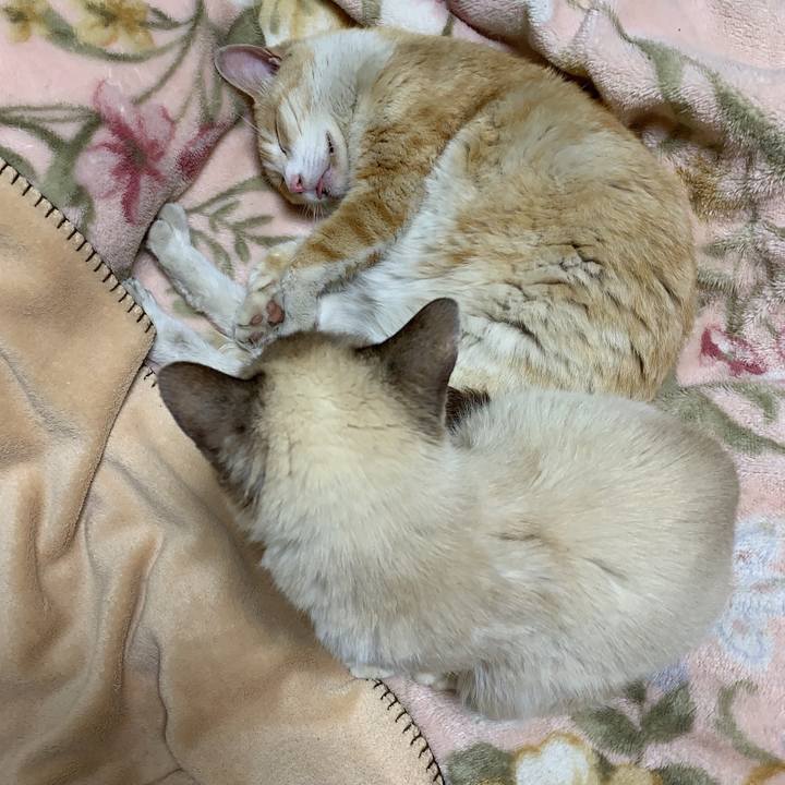 D0c6a183 eaf4 4418 8cfa 4bc040946051 1560354049650