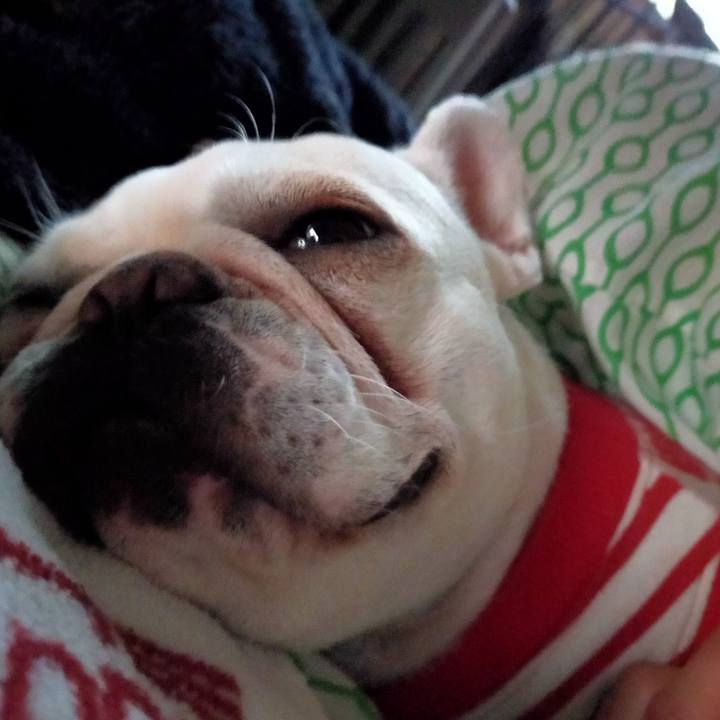 D0c6e78e fa60 4742 abc9 44e978ec351f 1637875754287