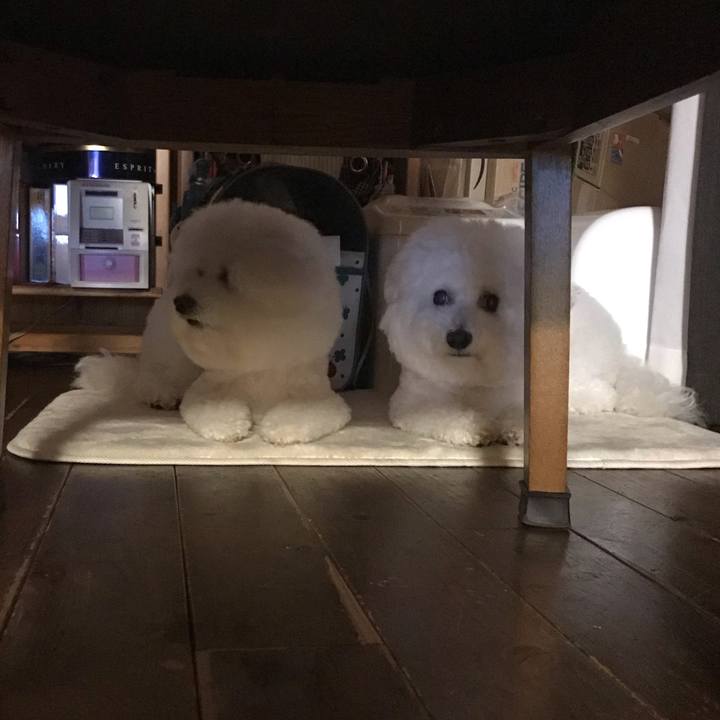 D0c74558 006a 494b 93ec 8d665205e3e5 1571475761854