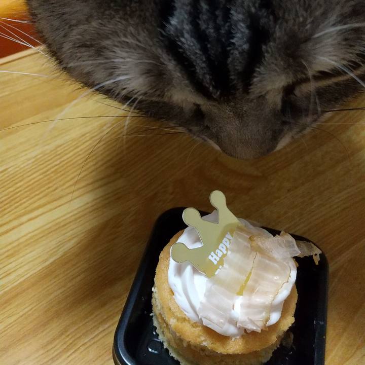 D0c760b4 5803 47e4 8cf6 e6abfb22ac89 1675859103507