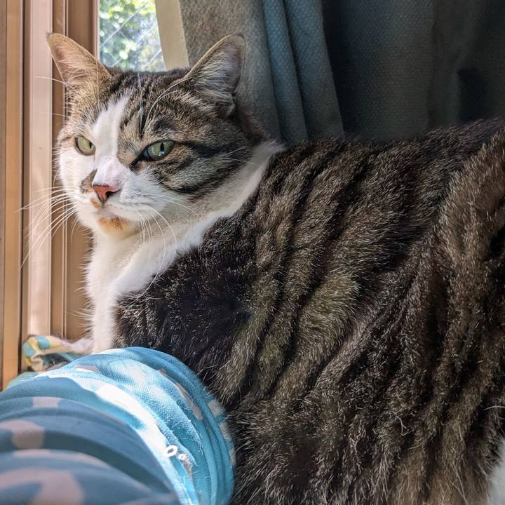 D0c7cf76 6a45 44d9 aa86 17a3d4da957a 1714882545680