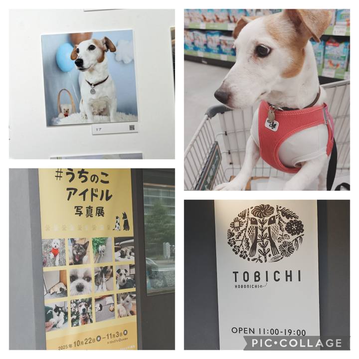 D0c80a8a ac58 4921 bf55 807f1703def6 1761270681128