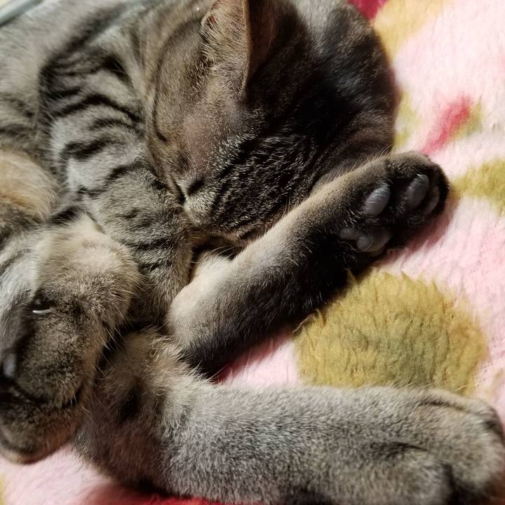 D0c81327 d5e5 4244 ac0b c27e375fa917 1683467132948