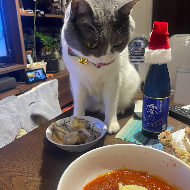 D0c8338b 8ddd 4d63 931b 21febddc4640 1735125041140