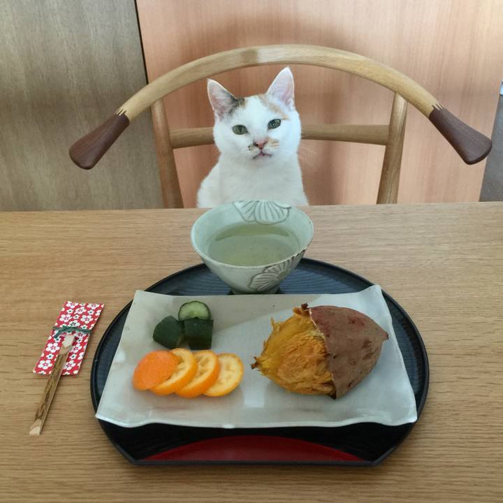 D0c8aee2 da8f 4486 a5b7 235081fdc41b 1519979932086