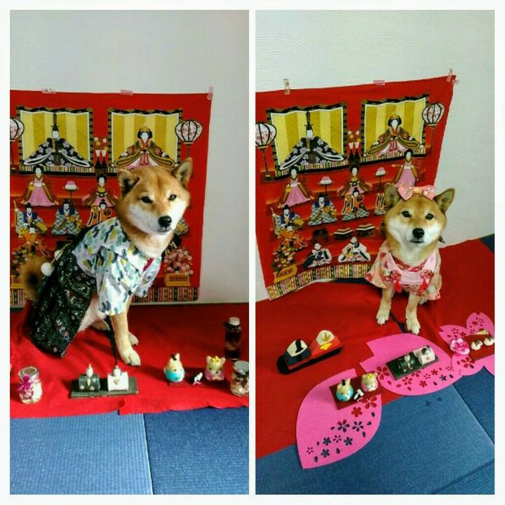 D0c8c2f8 e8b5 420c b1c6 70e776d76764 1551589822177