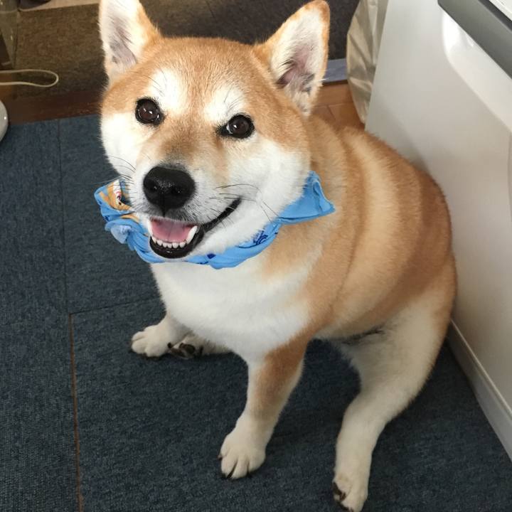 D0c8cf79 580c 4754 aeb5 d84360ed5bf5 1565829429105