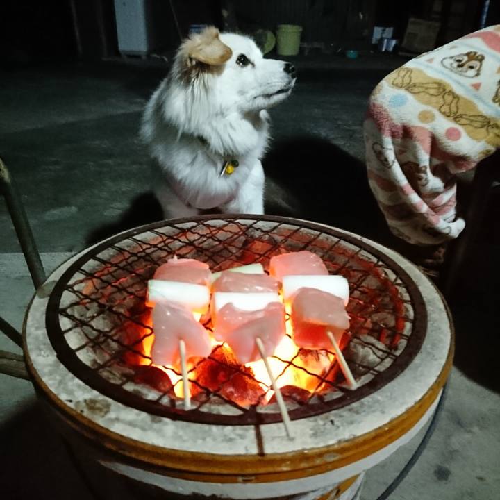 D0c94187 1112 4ab8 a7fc 4cdc4fe704af 1548240143216