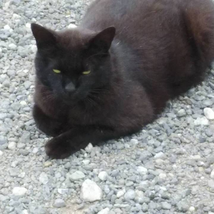 D0c94710 3cf1 492e 9223 448ee4898f67 1590451096692