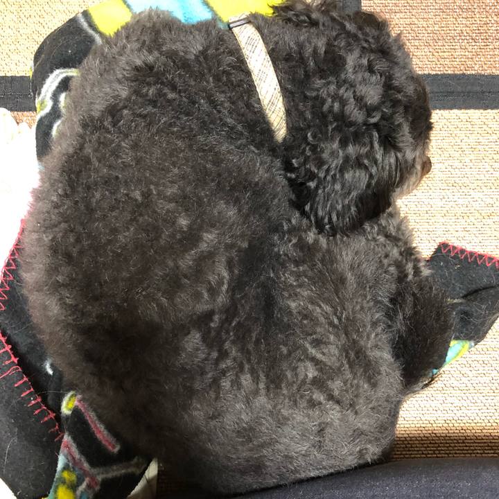 D0c94d95 2eb1 472b 865a 0520a10716f8 1550482579751