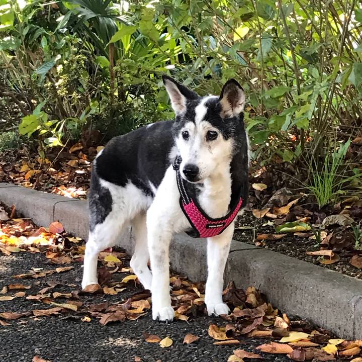 D0c957db a547 460c bba8 532f951f3496 1603621079909