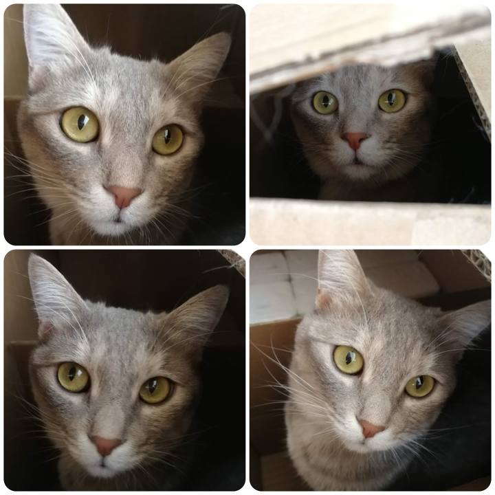 D0c96a83 1c79 43df 9989 e8bf76a66669 1564992893629