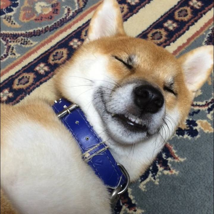 D0c97fa0 25d5 4cee 8984 42e59131e99b 1538746364633