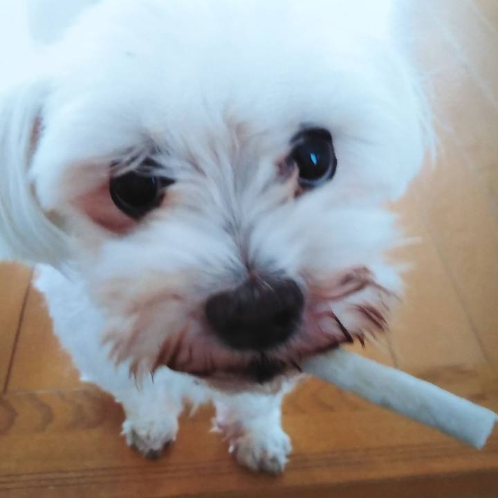 D0c9a14a a1a9 4e7e 8265 a930cc14dbd3 1620185567025