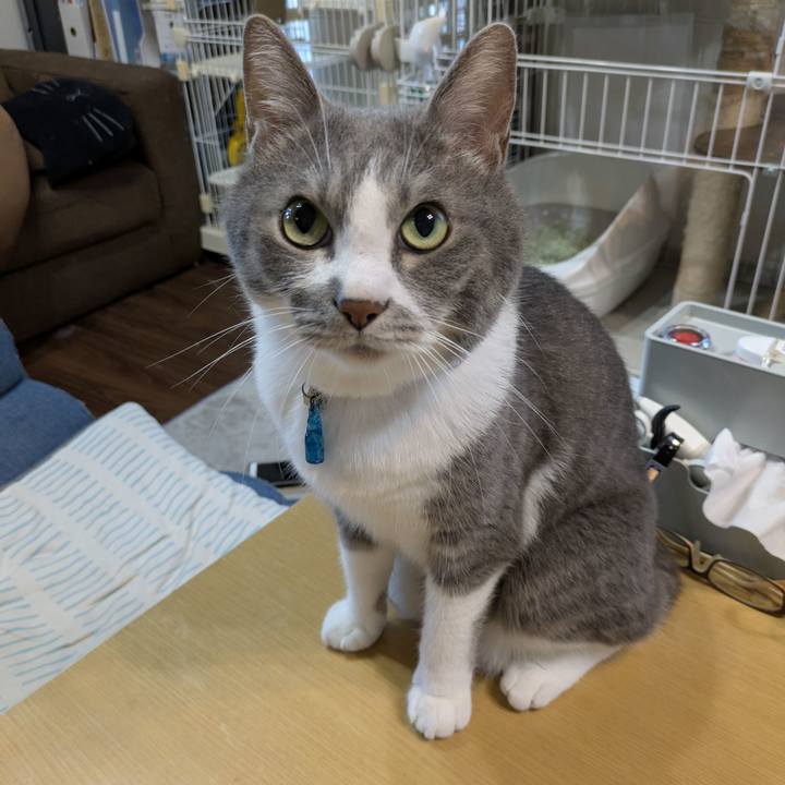 D0c9e1bc 9935 416a ad82 42b1fbd08d4c 1753089340246