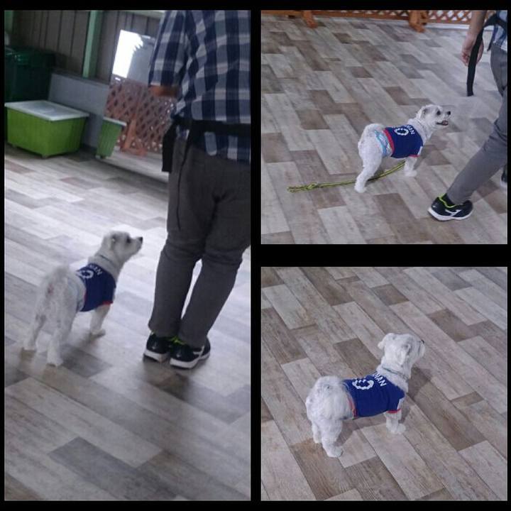 D0c9f3aa b8e3 4b96 b670 62d040746bf7 1529736377443