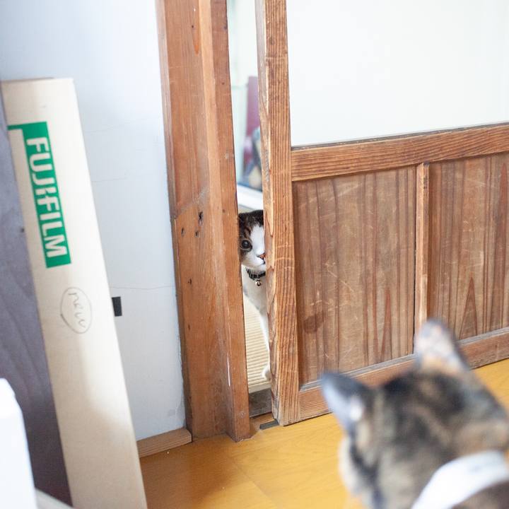 D0ca2bb0 1477 44fe ba25 9fc4a5b96476 1573396768933