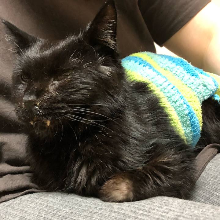 D0ca4179 2212 46e6 9395 077de4c7848c 1647289989710