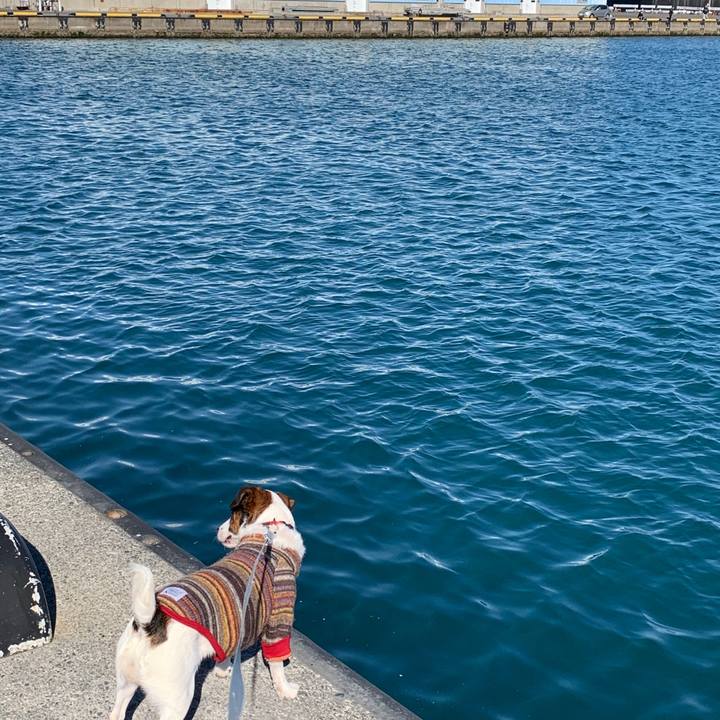 D0ca4912 13ff 4716 abd6 e6b2df99158a 1581403351084