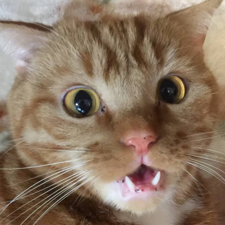 D0ca8519 8126 4419 8a14 417ca99f0b24 1553135375376