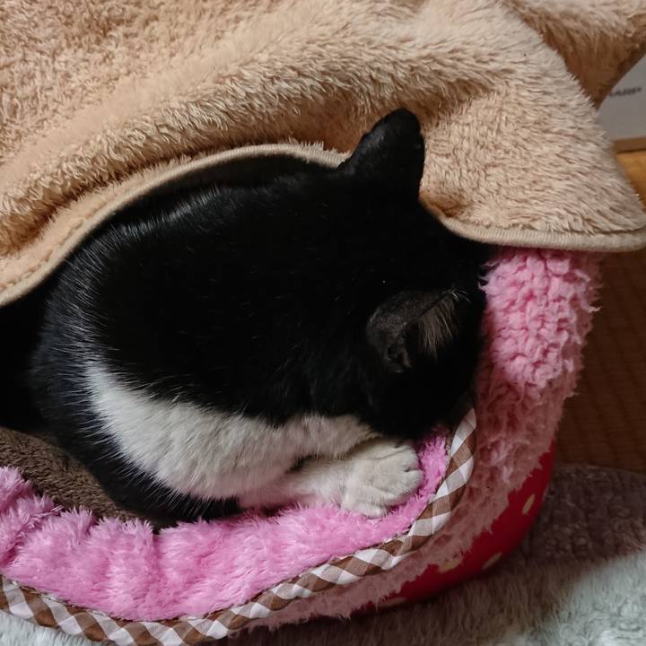 D0cac3b4 948d 4275 8f0f 91479be5d475 1547800083371