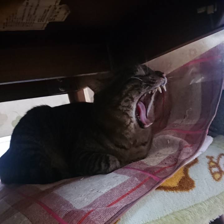 D0cacc7c 8bbd 4f5a ad35 4a6e6bbd299c 1643402877233