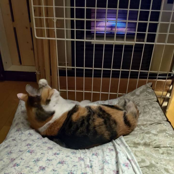 D0cb3e04 d6d1 4d55 a67e 872fb2abe825 1714565620601