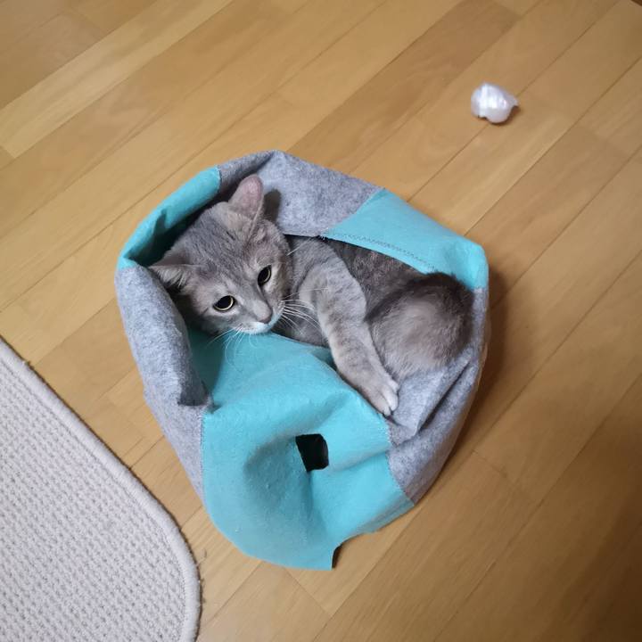 D0cb4cca fe65 44ee b052 c07ca5ee9cd5 1571928436996