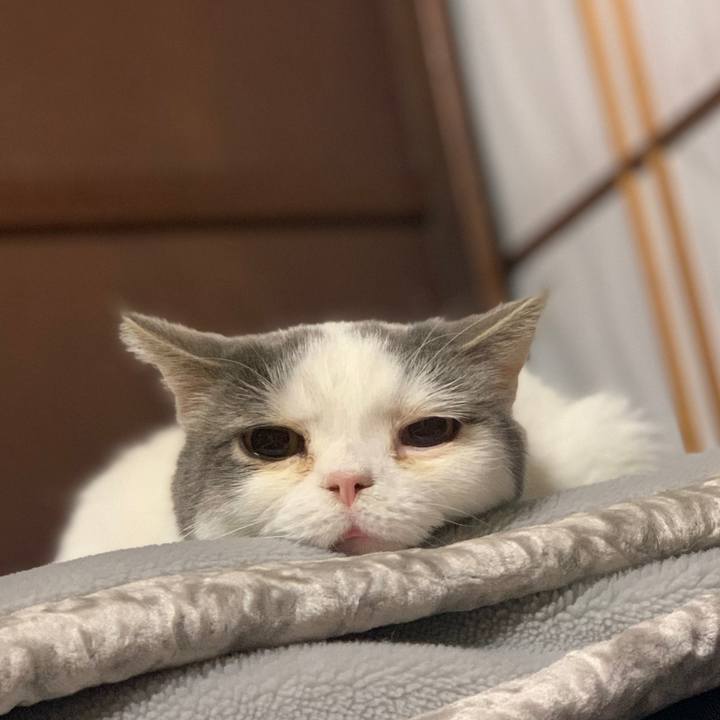 D0cb6a91 6d11 4868 be32 e25192021dda 1684762691828