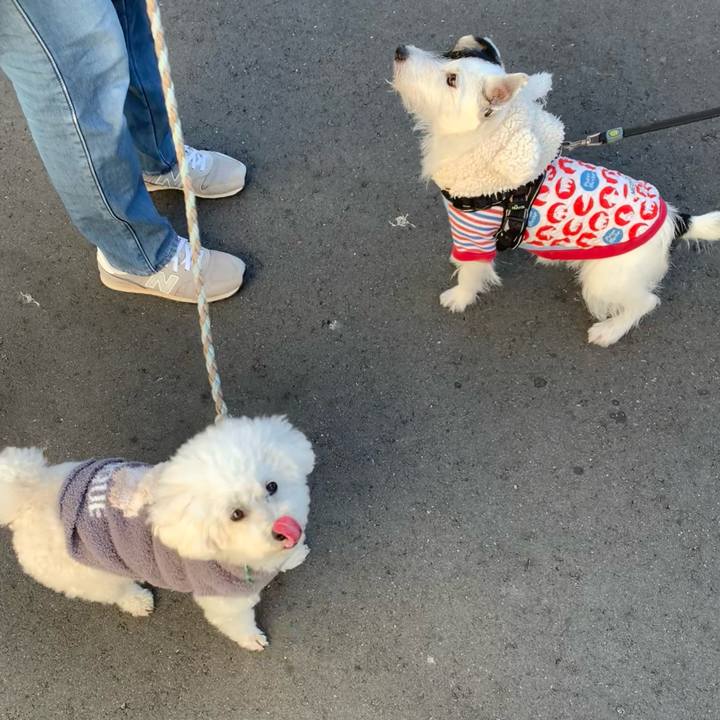 D0cb7343 8d81 40da a0f1 b56798a8fedc 1734916184699