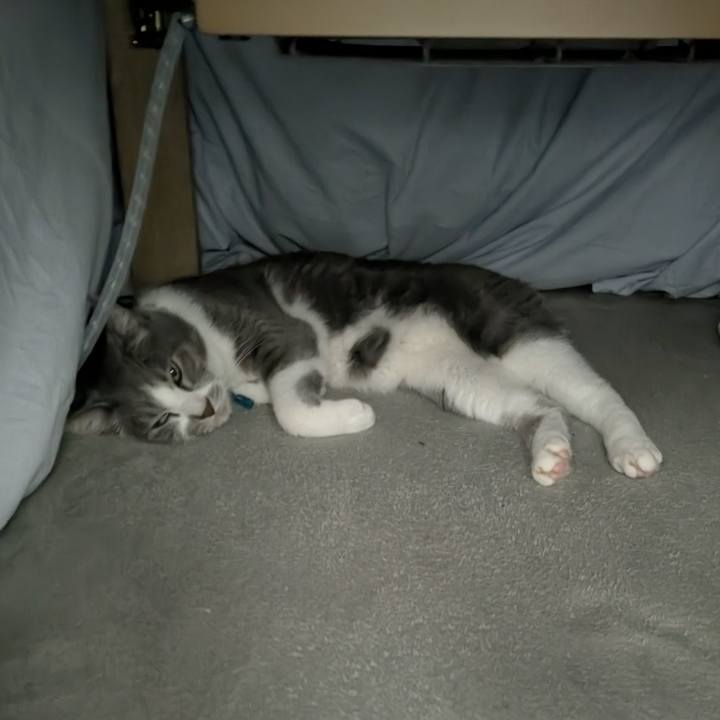 D0cb7717 ab11 4fdc 8ab1 de13a16f7c3a 1764249667620