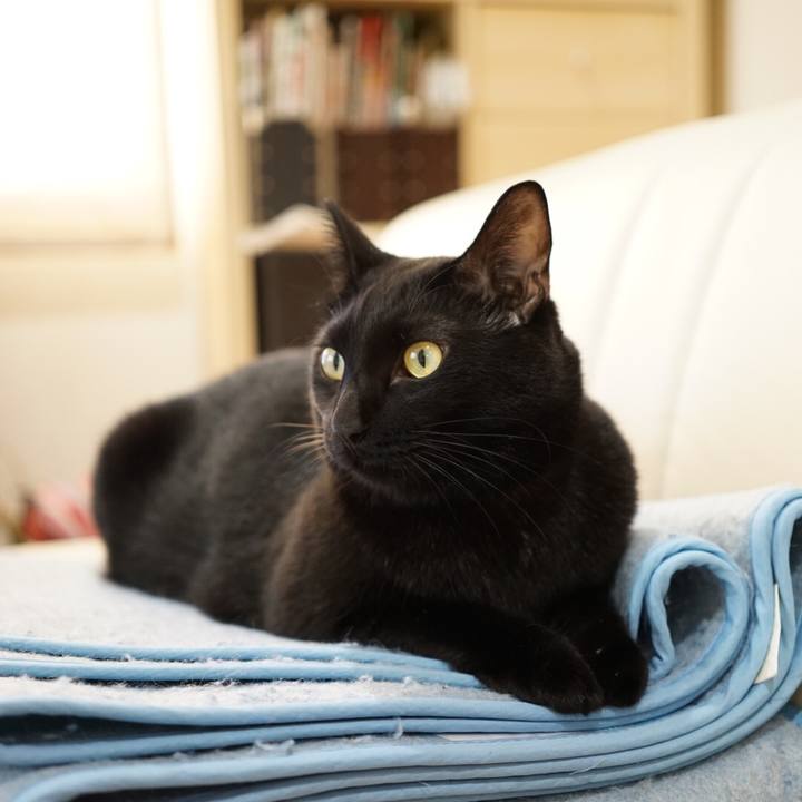 D0cb7b9a 2748 463c b632 a12fc02a24da 1538350523457