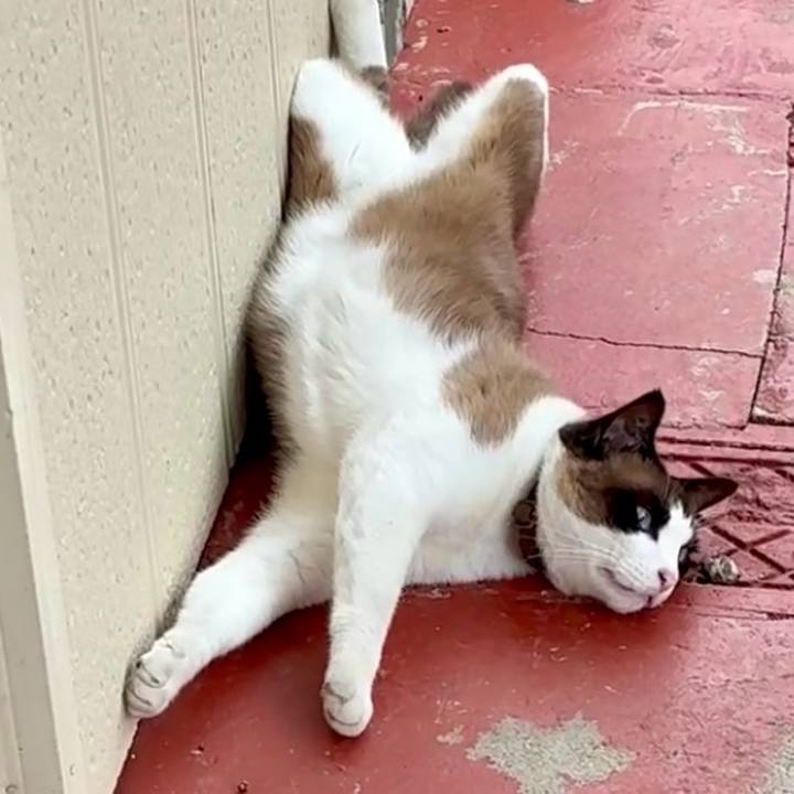 D0cba447 3afa 4e96 b396 5604e2cc9673 1749265316284