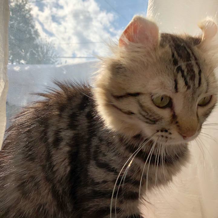 D0cba4be 247c 4b6c bb2c fb25e1be8467 1518483698098