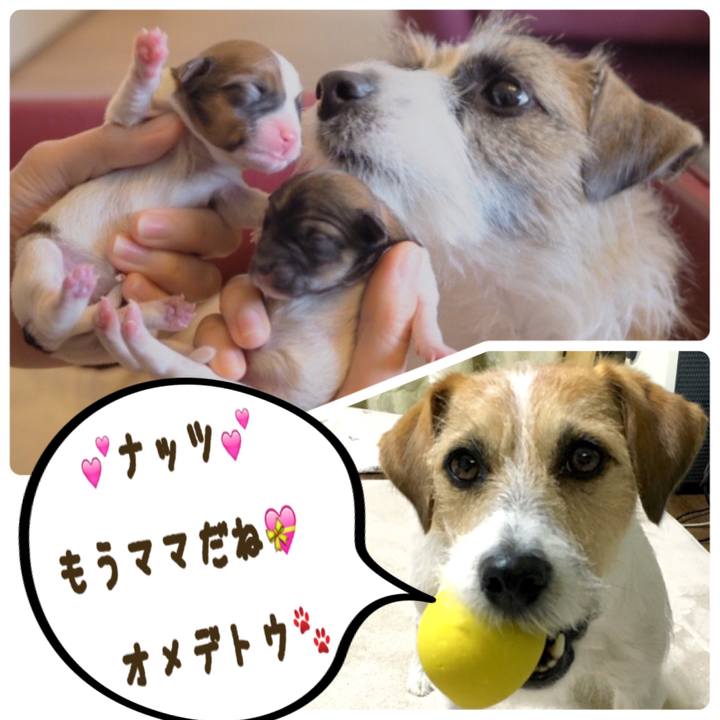 D0cbb830 8238 455b ab29 b067b024be3f 1544669686090