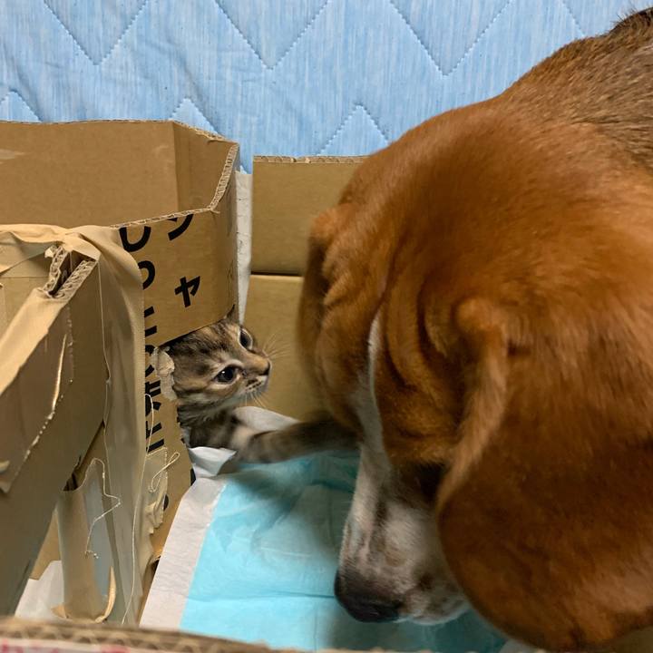 D0cbf318 b285 4d6b b281 f52e7b4bb7ea 1557930968774