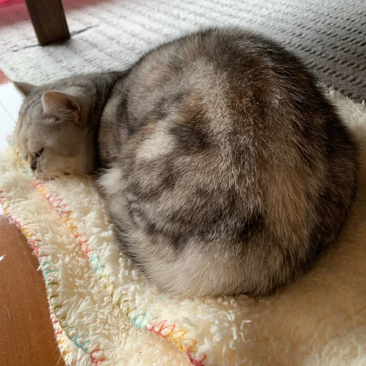 D0cc011e 2008 4602 8a50 155e2a661eae 1708832280574