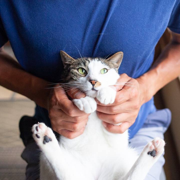 D0cc18eb f0ab 4e0b bf79 91eb6d898c06 1564280116337