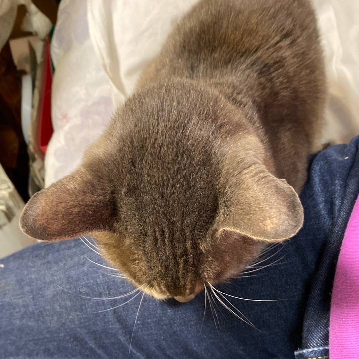 D0cc3c64 8435 4d50 8e86 c23ce9d63edf 1572788497007