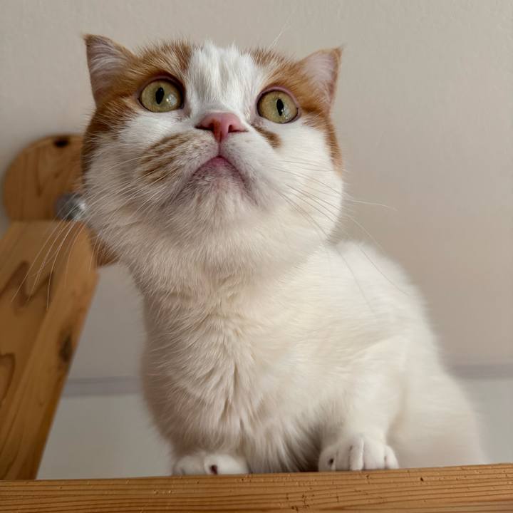 D0cc7540 38ab 4dc1 9a9a 6460675d5396 1774320874322