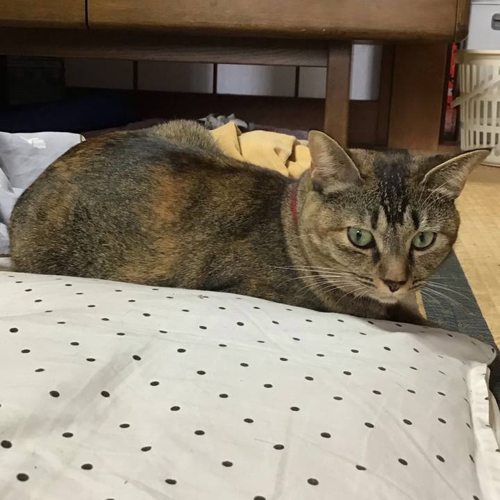 D0cc8b99 69dc 40f9 860b 14b21c5a510f 1603066590244