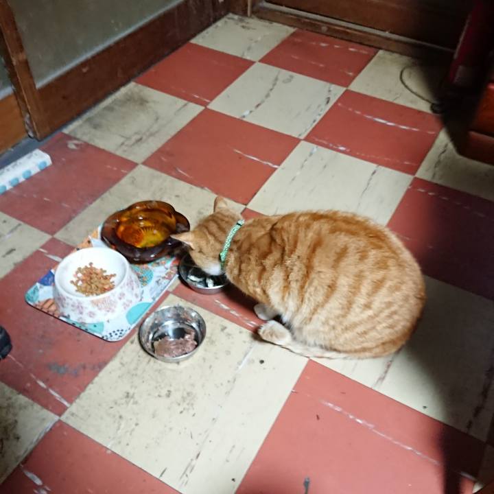 D0cce593 ad8c 410c 85ab 6adc5781264b 1585166522198