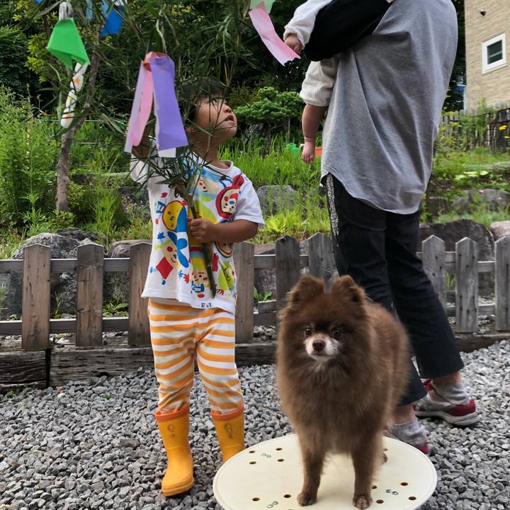 D0ccff4d e1c5 4cbf bf77 5cf74b706a76 1562330540304