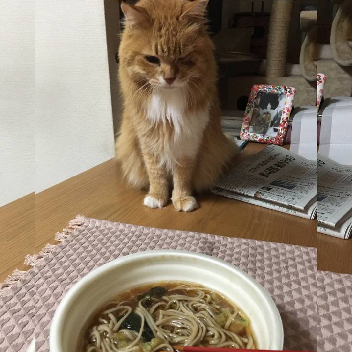 D0cd06aa 8dc5 4e79 a3bb 566a3d39a2a9 1546253352905